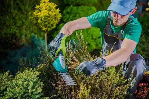 landscaping services Eldon